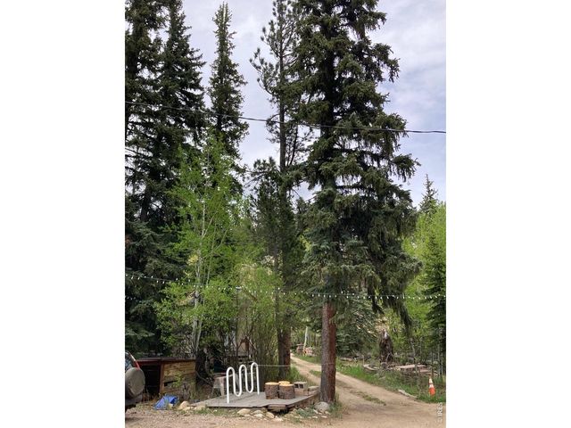 1064 Cold Springs Rd, Nederland, CO 80466