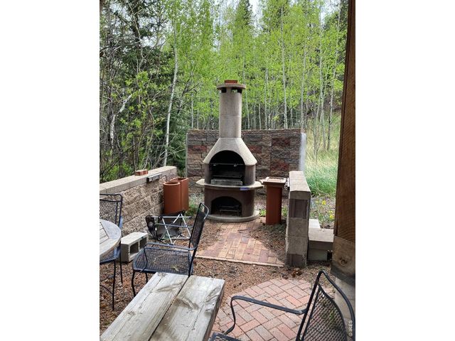 1064 Cold Springs Rd, Nederland, CO 80466