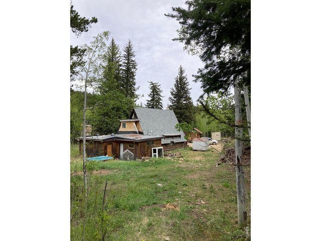 1064 Cold Springs Rd, Nederland, CO 80466