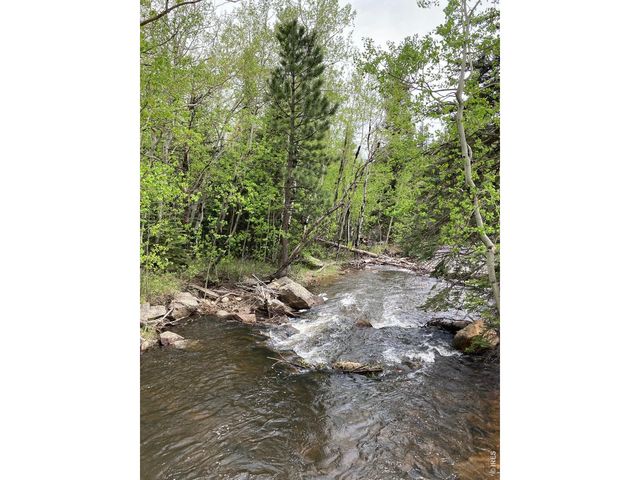1064 Cold Springs Rd, Nederland, CO 80466