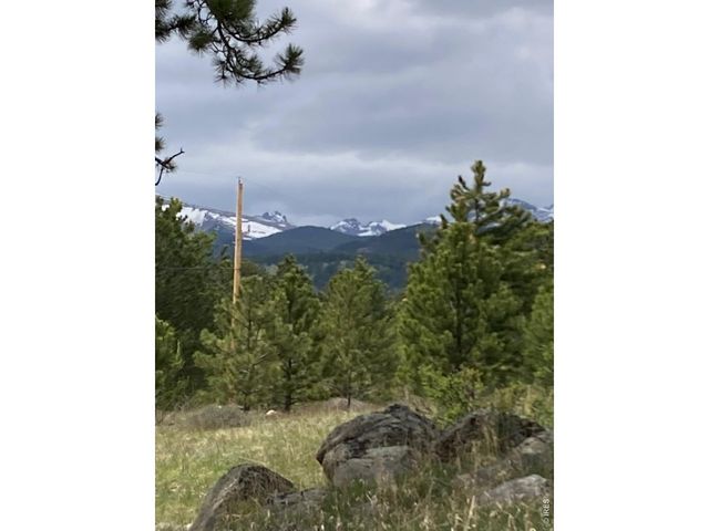 1064 Cold Springs Rd, Nederland, CO 80466