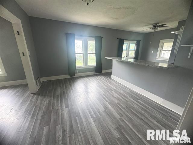 1039 N FRANKLIN Avenue, Springfield, IL 62702