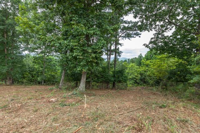 Lot 13 Thirteen Hundred, Blairsville, GA 30512