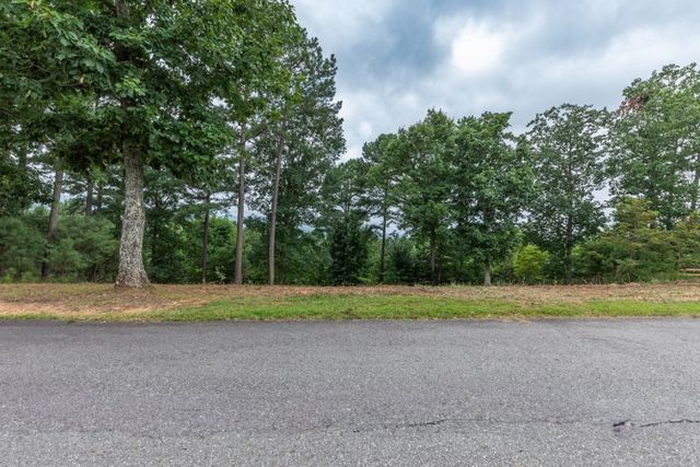 Lot 13 Thirteen Hundred, Blairsville, GA 30512