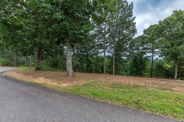 Lot 13 Thirteen Hundred, Blairsville, GA 30512