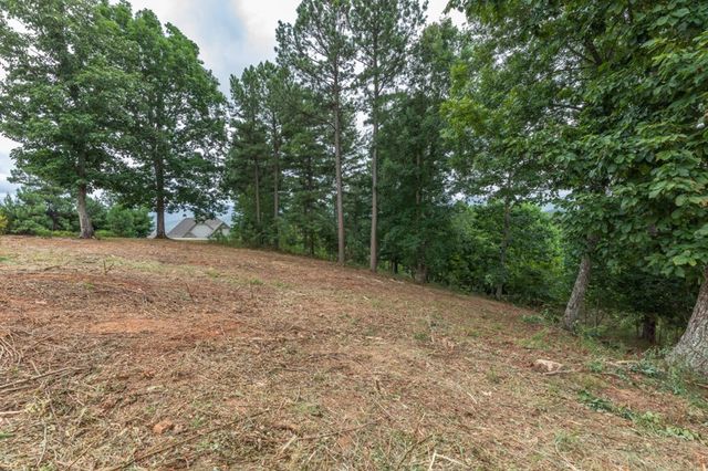 Lot 13 Thirteen Hundred, Blairsville, GA 30512