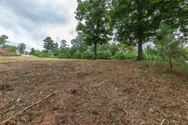 Lot 13 Thirteen Hundred, Blairsville, GA 30512