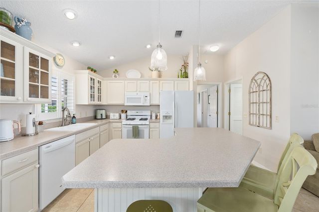 3025 ST THOMAS LANE, The Villages, FL 32162