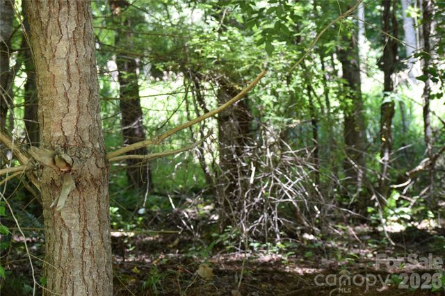 TBD Wooded Mountain Trail Tract 2, Mars Hill, NC 28754