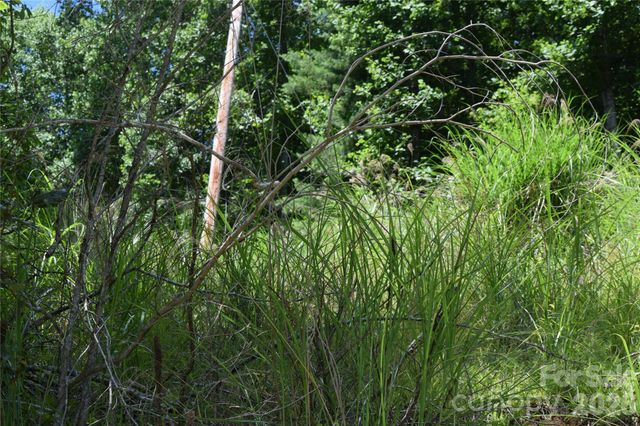TBD Wooded Mountain Trail Tract 2, Mars Hill, NC 28754