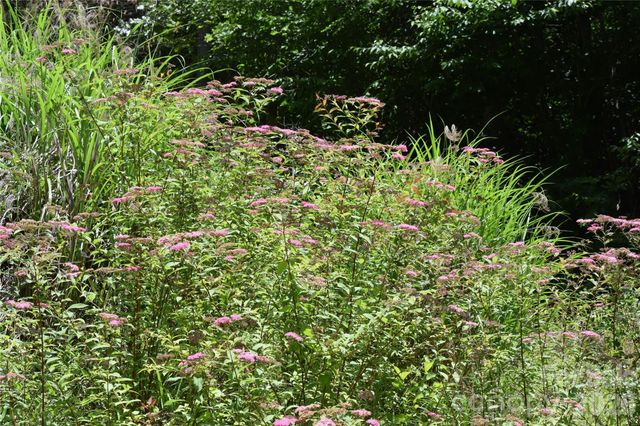 TBD Wooded Mountain Trail Tract 2, Mars Hill, NC 28754