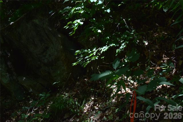 TBD Wooded Mountain Trail Tract 2, Mars Hill, NC 28754