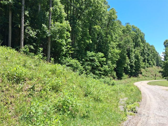 TBD Wooded Mountain Trail Tract 2, Mars Hill, NC 28754