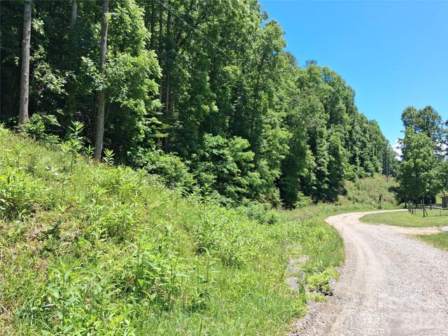 TBD Wooded Mountain Trail Tract 2, Mars Hill, NC 28754