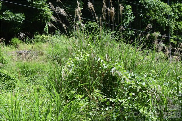 TBD Wooded Mountain Trail Tract 2, Mars Hill, NC 28754