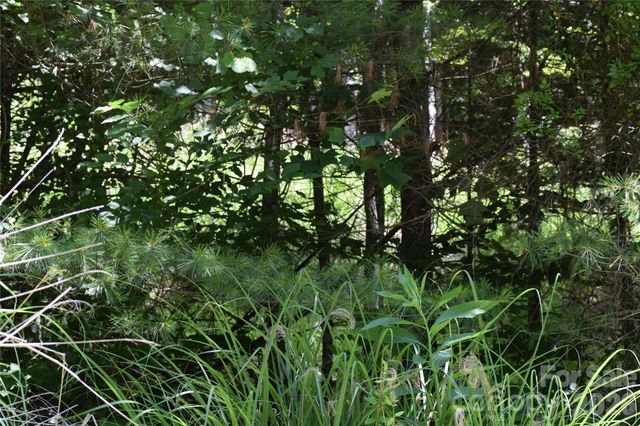 TBD Wooded Mountain Trail Tract 2, Mars Hill, NC 28754