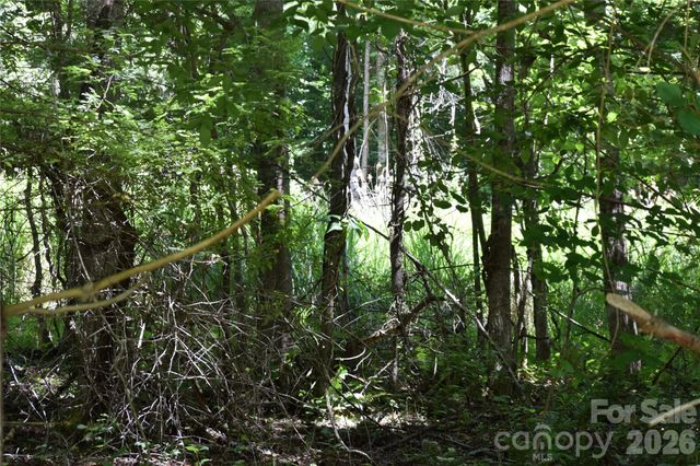 TBD Wooded Mountain Trail Tract 2, Mars Hill, NC 28754