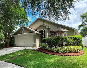 809 STRAW LAKE DRIVE, Brandon, FL 33510