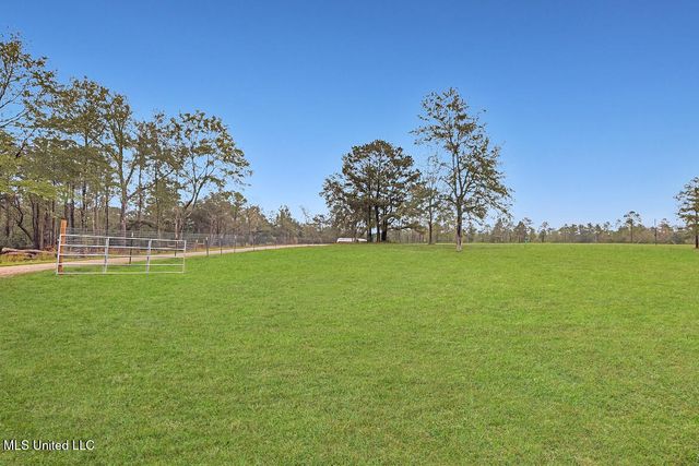 31 Go Go Road, Poplarville, MS 39470