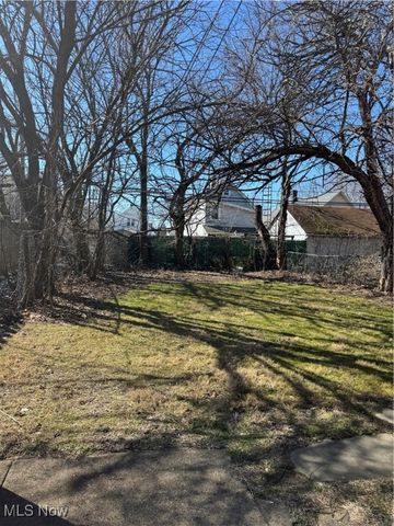 1032 E 79th Street, Cleveland, OH 44103