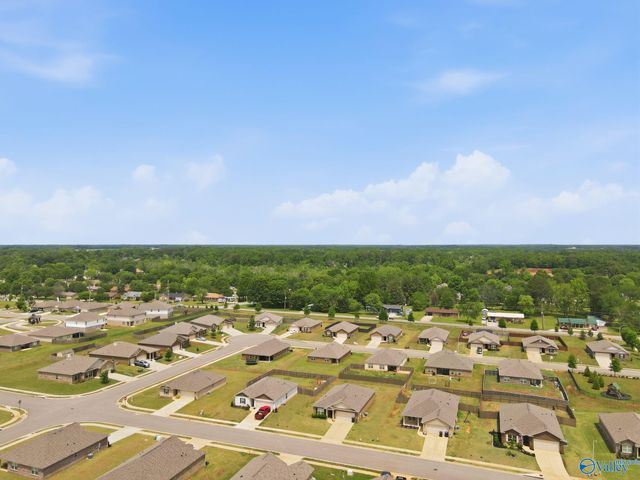 105 Tea Tree Court, Hazel Green, AL 35750