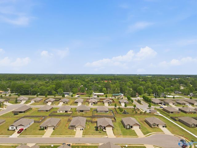105 Tea Tree Court, Hazel Green, AL 35750