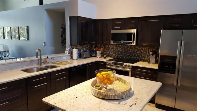 15211 ARBOR HOLLOW DRIVE, Odessa, FL 33556