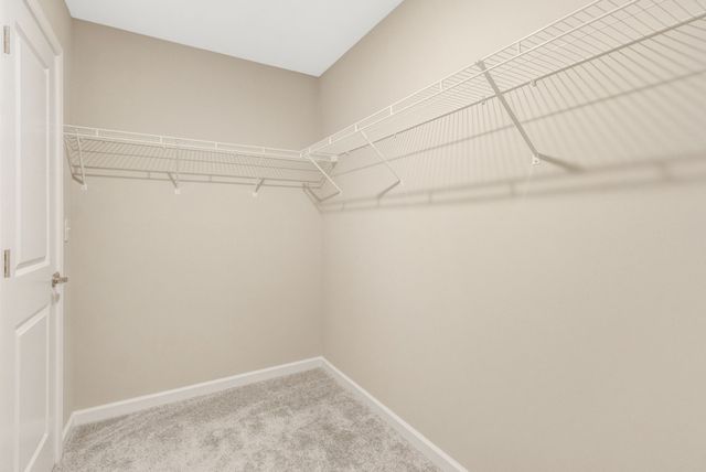 3334 Tucker Trce, Columbia, TN 38401