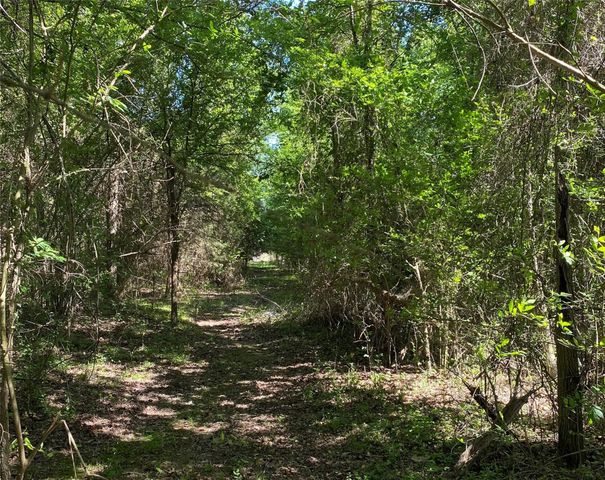 1215 CR 4165, Quitman, TX 75783