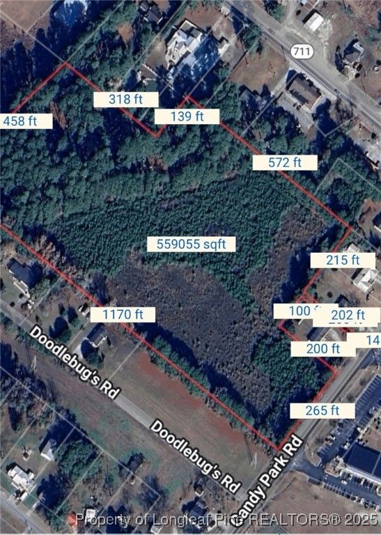 Candy Park Road, Pembroke, NC 28372 — photo 4