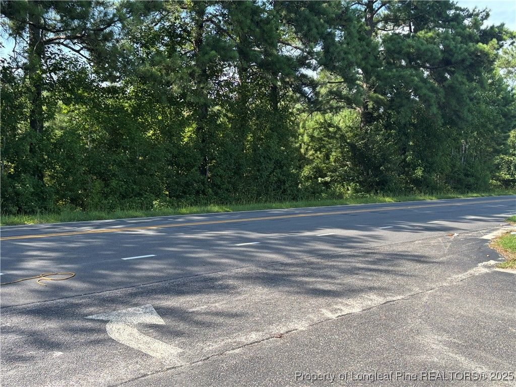 Candy Park Road, Pembroke, NC 28372 — photo 6