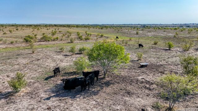 2780 Freudenburg, St Hedwig, TX 78152