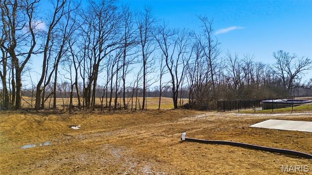 1123 Castle Green Drive, Waterloo, IL 62298