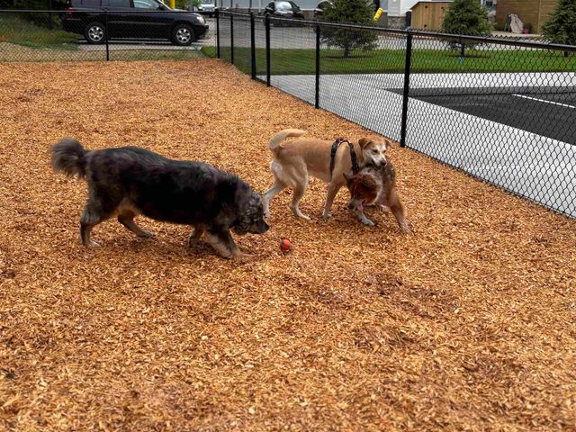 80 Constitution Ave Unit 219, Portsmouth, NH 03801