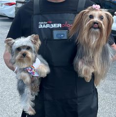 4XXX SW 137, Miami, FL 33184