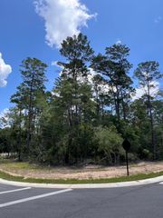 258 Foxglove Run, Niceville, FL 32578