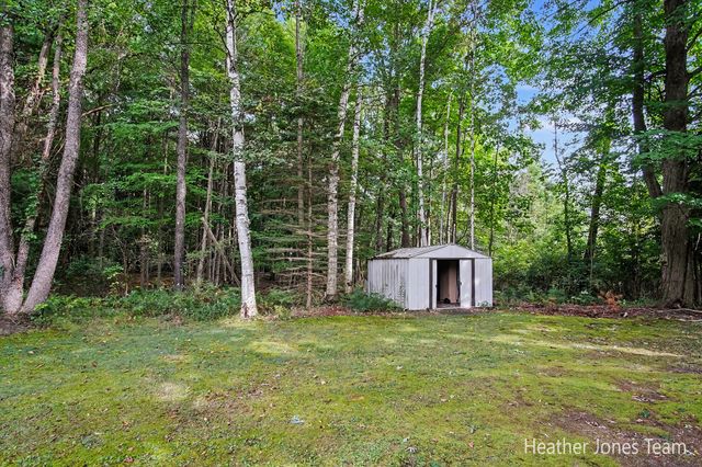 3791 S Holland Road, Sidney Twp, MI 48885