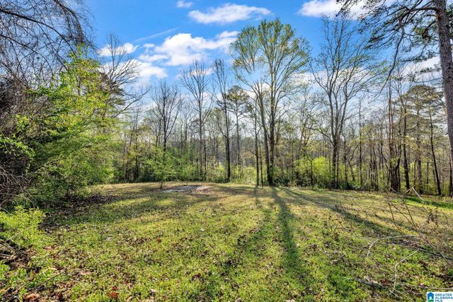 65 FOREST TRAIL, Warrior, AL 35180