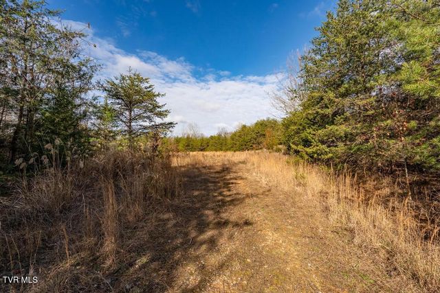 Tbd93acres Hunting Hill Road, Bluff City, TN 37618