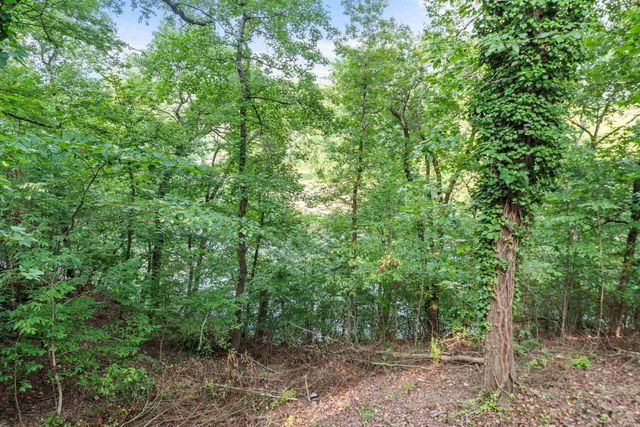 197 Catherine Heights Rd, Hot Springs, AR 71901