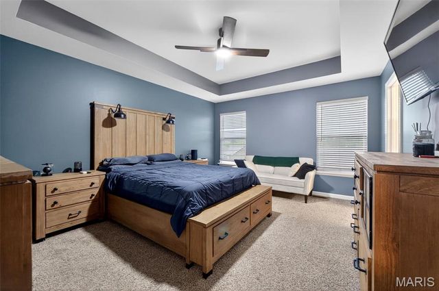 245 Auburn Ridge Drive, Troy, MO 63379