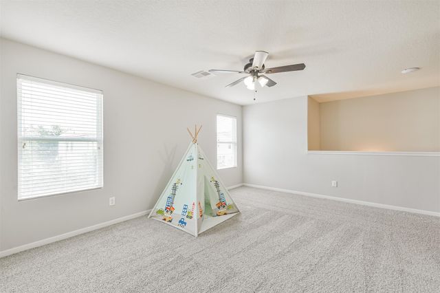 16848 Greenhouse Street, Conroe, TX 77385
