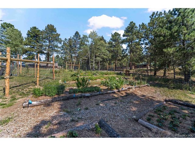 28894 Corkwood Ln, Evergreen, CO 80439