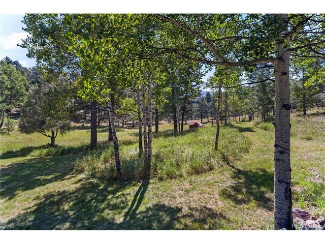 28894 Corkwood Ln, Evergreen, CO 80439