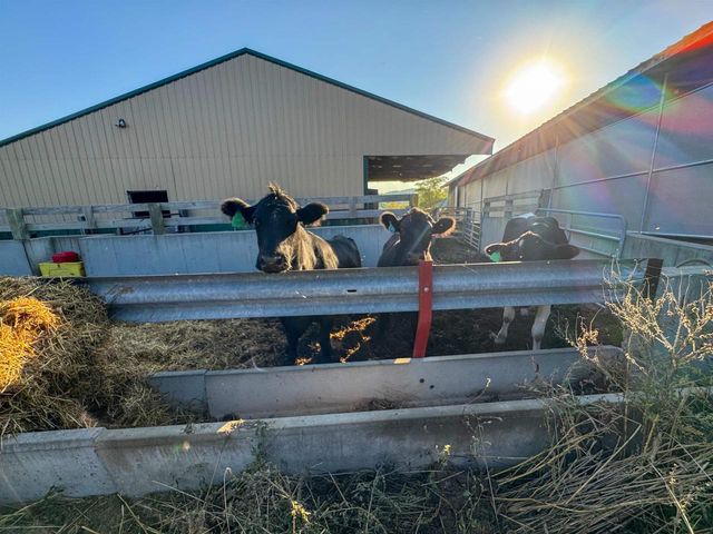 29000 Monarch Ave. Avenue, Kendall, WI 54638