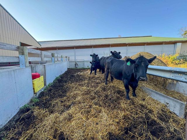 29000 Monarch Ave. Avenue, Kendall, WI 54638