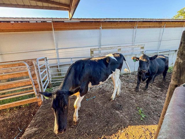 29000 Monarch Ave. Avenue, Kendall, WI 54638