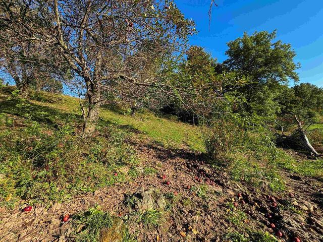 29000 Monarch Ave. Avenue, Kendall, WI 54638