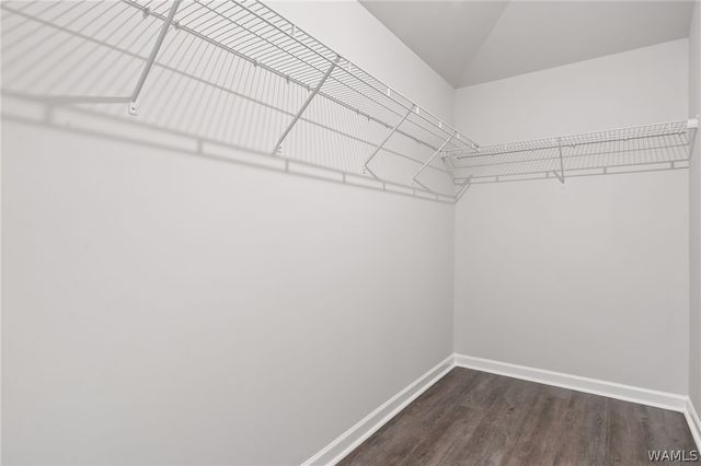 13892 SIR LANCELOT, Tuscaloosa, AL 35405