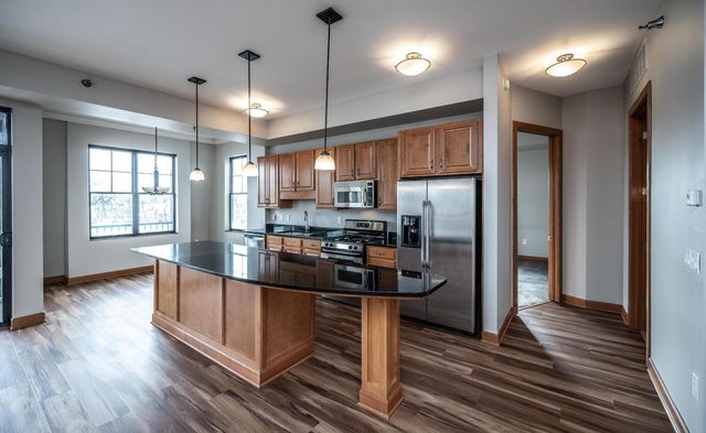 317 Groveland Avenue 713, Minneapolis, MN 55403